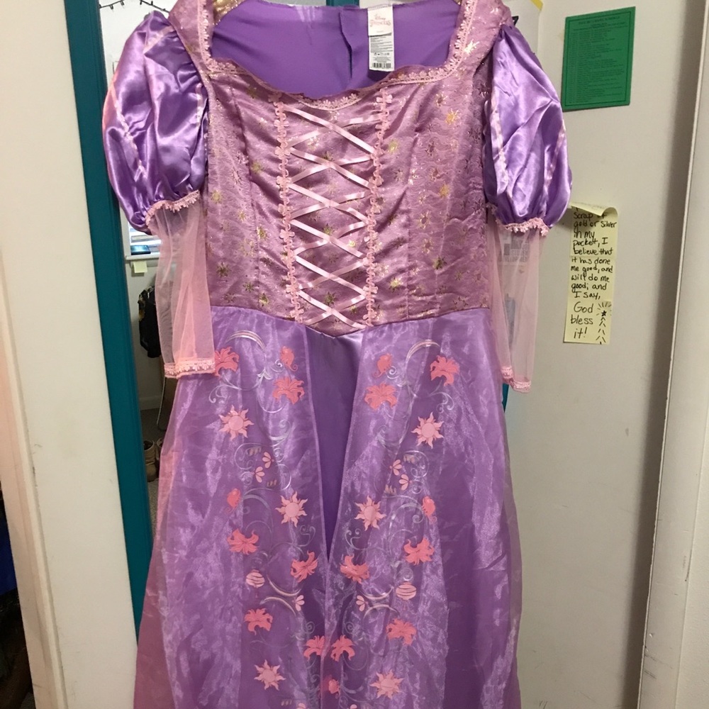 Plus Size Disney Rapunzel Dress